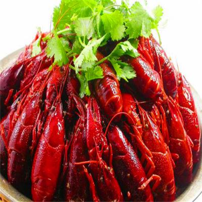 四川麻辣小龍蝦技術(shù)培訓(xùn)哪里好？底料熬制方法