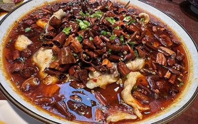 成都涼拌菜培訓(xùn)如何選擇？學(xué)習(xí)涼菜技術(shù)哪里好