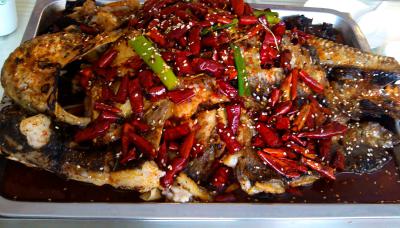 成都烤魚技術(shù)培訓(xùn)學(xué)校排名,學(xué)習(xí)烤魚技術(shù)培訓(xùn)學(xué)費(fèi)？