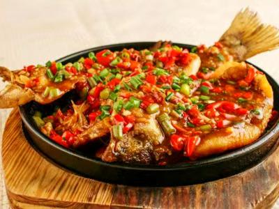成都哪里可以學(xué)烤魚(yú)技術(shù)？成都烤魚(yú)技術(shù)怎么樣？