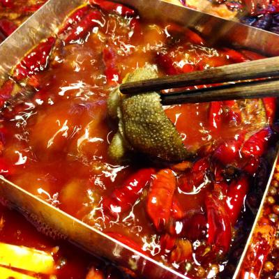 成都火鍋培訓(xùn)多少錢？ 成都火鍋培訓(xùn)多少錢？