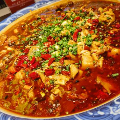 重慶來鳳魚培訓(xùn)學(xué)校哪家好？深度解析蜀味緣為何備受青睞